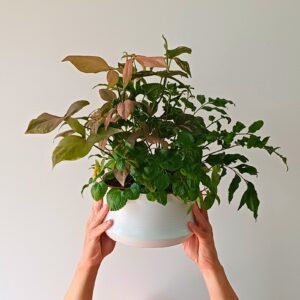 CasaVerde-Flavia 5