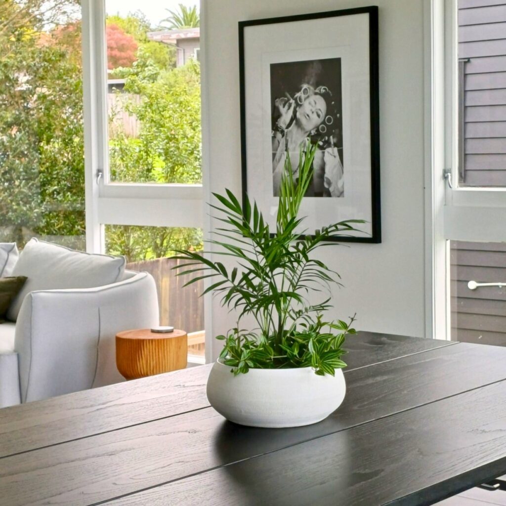 CasaVerde-Fosca 2