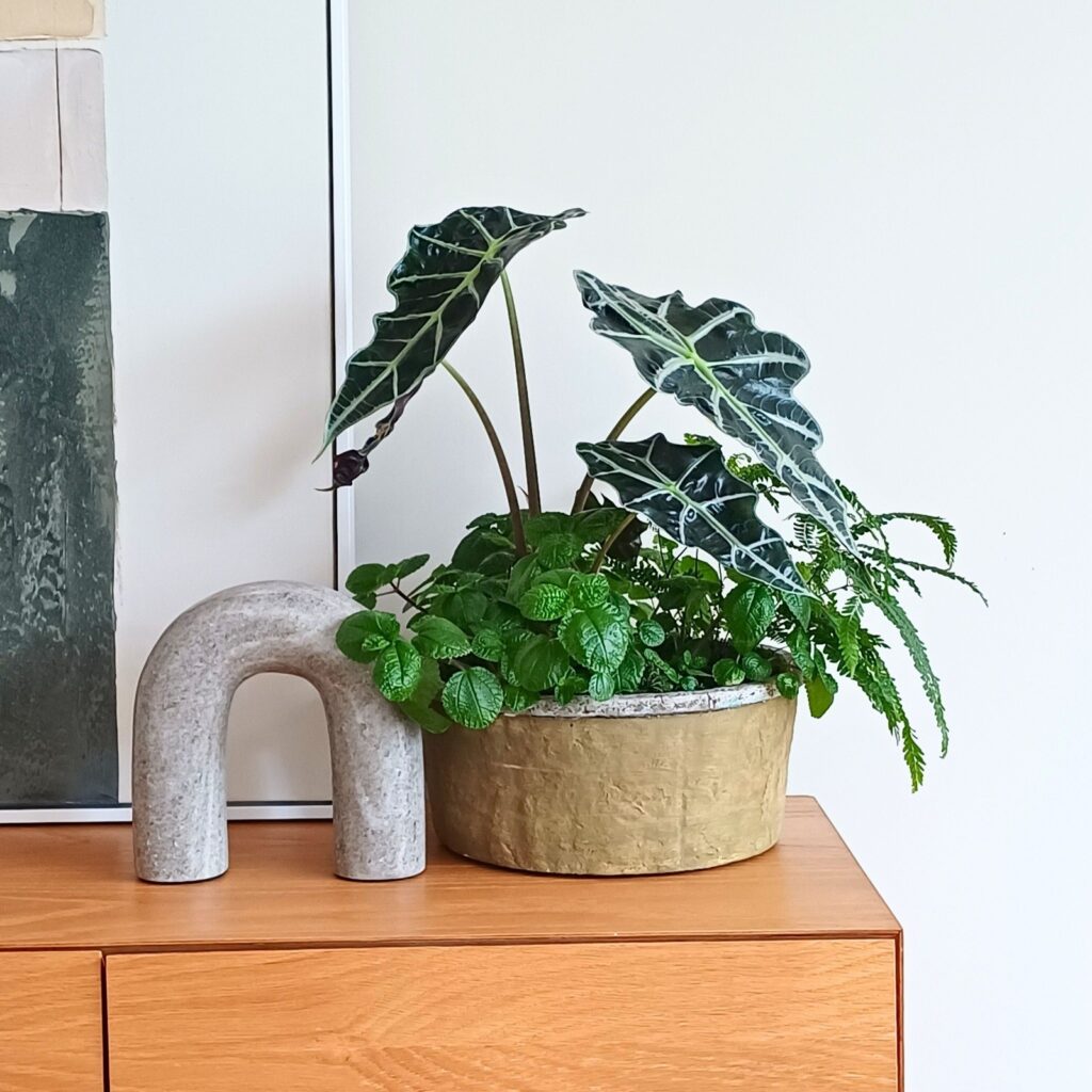 CasaVerde-Greta 2